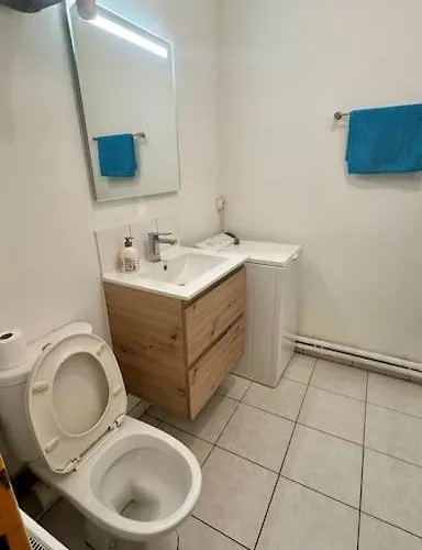 Apartment Magnifique Studio Tout Equipe + Parking / 21 *